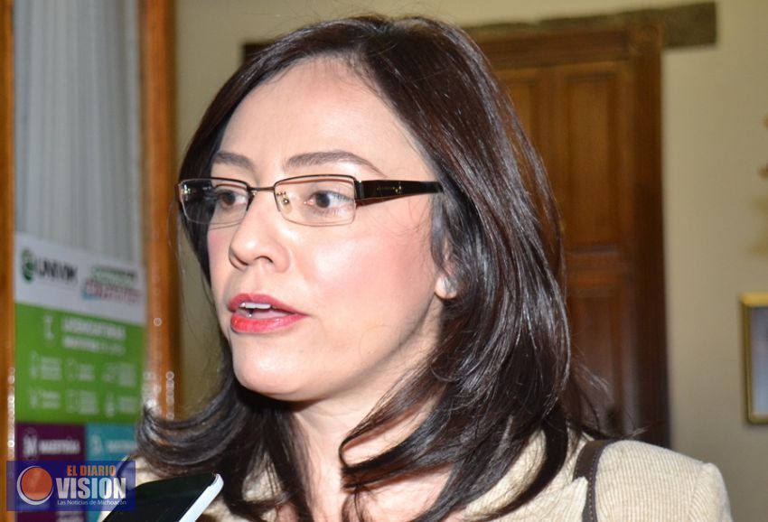 El Gobernador debe controlar la seguridad en Michoacán, no hay pretexto que valga: PRI