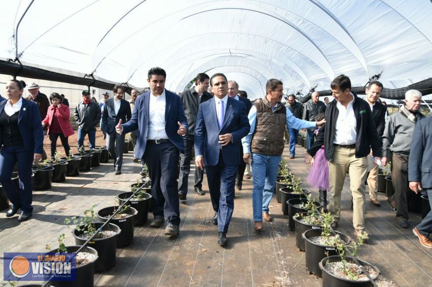 Michoacán es el octavo estado más seguro en el país: Silvano Aureoles 