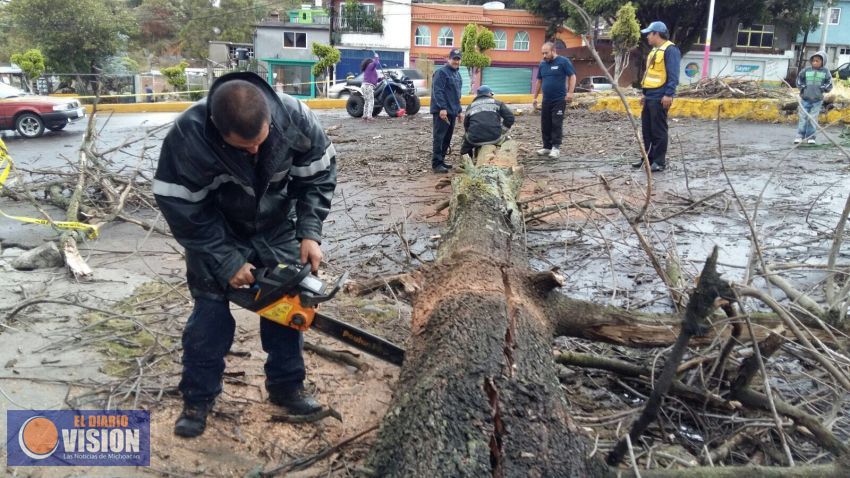 Ya atiende PC contingencias por paso de tormenta invernal en Michoacán