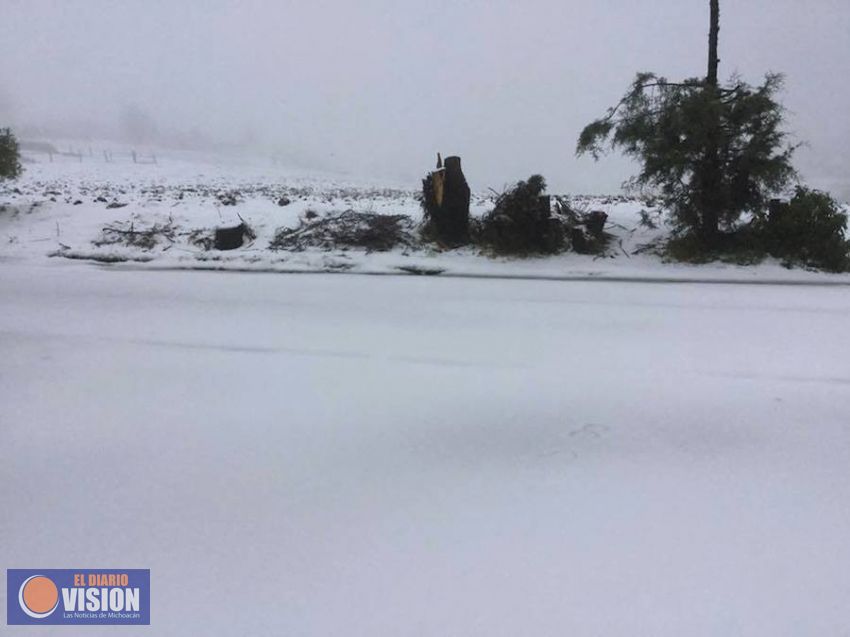 Instruye Sedrua supervisar daños en el campo; hay seguro catastrófico