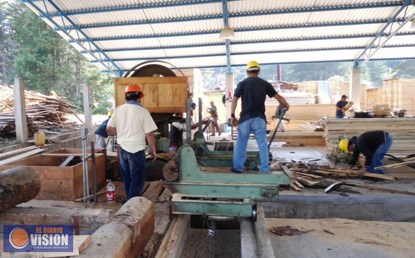 Incrementa Michoacán precio de madera tras certificación 