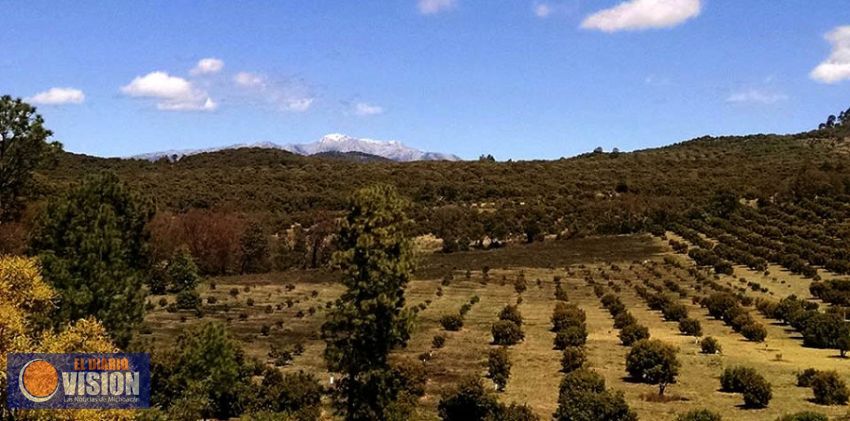 Evalúan daños al agro,  ante la reciente helada en varias entidades