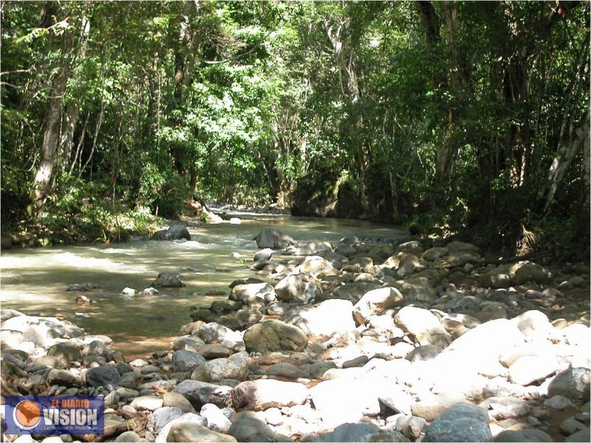 Conoce y disfruta las más impresionantes áreas verdes de Michoacán