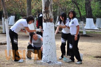 Estudiantes en pro del medio ambiente