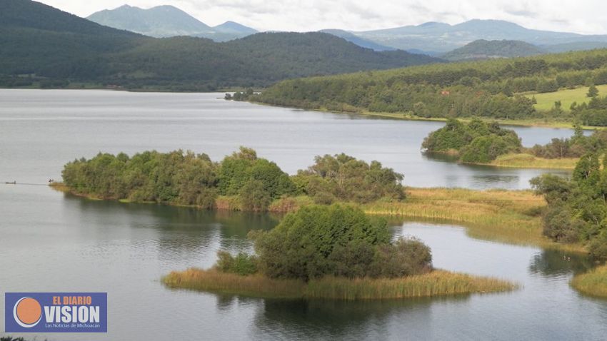 Gobierno de Michoacán, comprometido con el cuidado de los bosques  