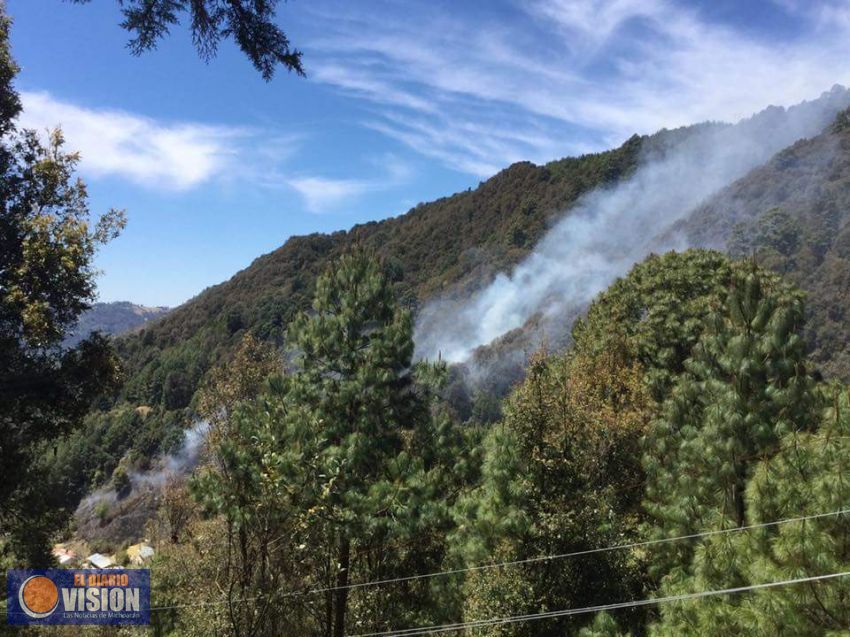 Pavoroso incendio en el Santuario de la Mariposa Monarca