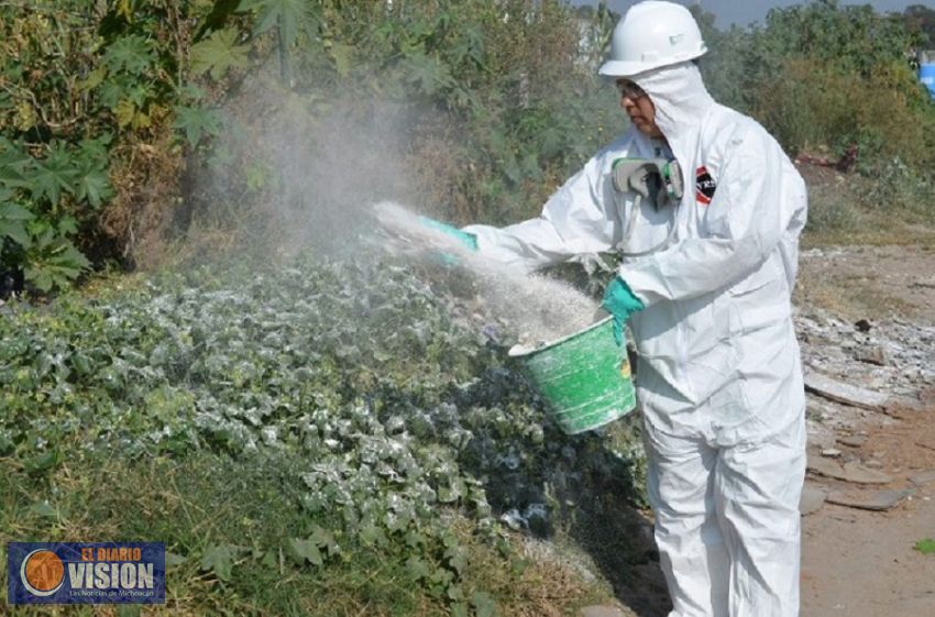 Alertan de empresas privadas falsas dedicadas a la fumigación  