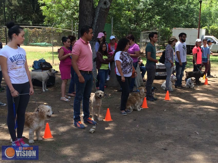 Centro de Convenciones de Morelia, aliado de ONG animalistas