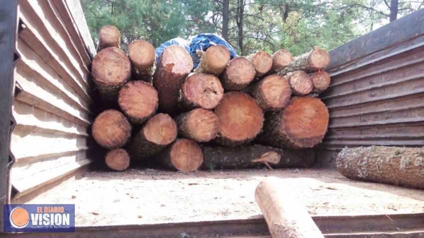Decomisa Policía Michoacán 197 rollos de madera en tres municipios  