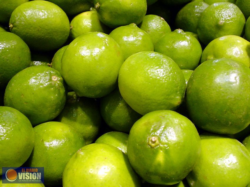 Se incrementa el precio del limón hasta un 40%