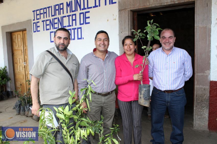 Autoridades entregan árboles frutales en comunidades de Pátzcuaro