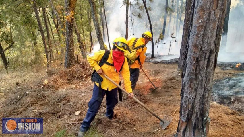 Incontrolables los incendios en Michoacán 