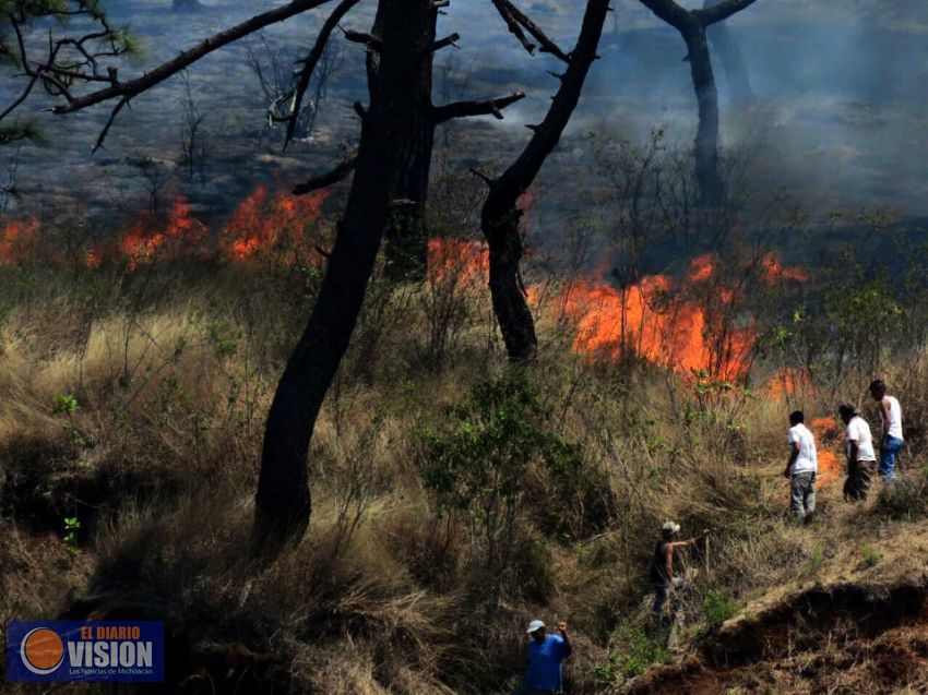 Arde cerro de La Cruz y el de Jicalán; brigadistas piden apoyo