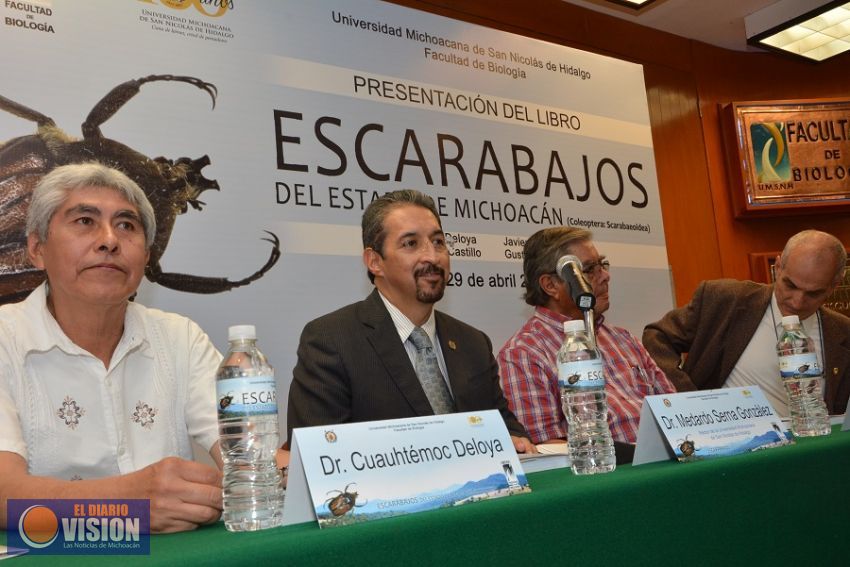 México requiere de equipos productivos, que hagan más en menos tiempo: MSG