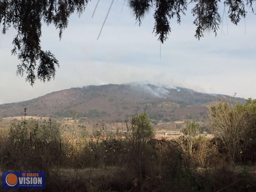 Continúa el combate coordinado a los incendios forestales