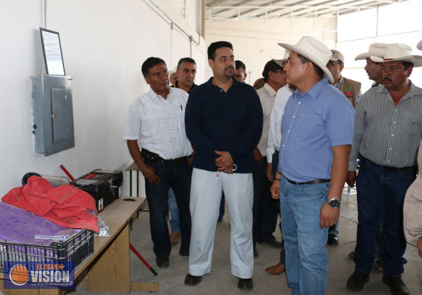 Región de Uruapan, la principal exportadora de guayaba en Michoacán