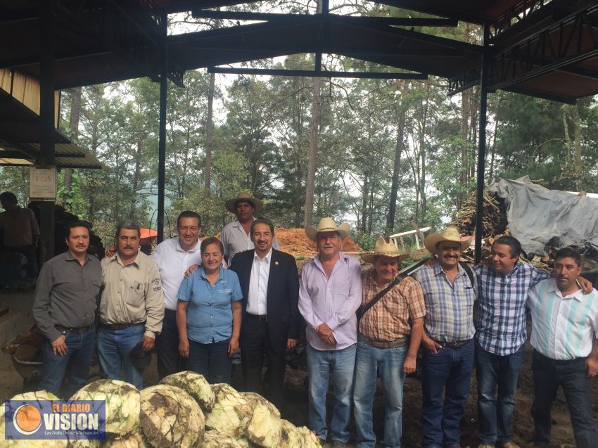 UMSNH al apoyo de mezcaleros para la certificación de sus productos