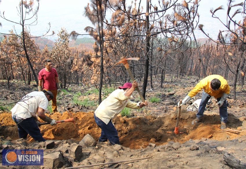 Autoridades y comunidad de San Miguel realizan trabajos emergentes en Cerro de la Cruz