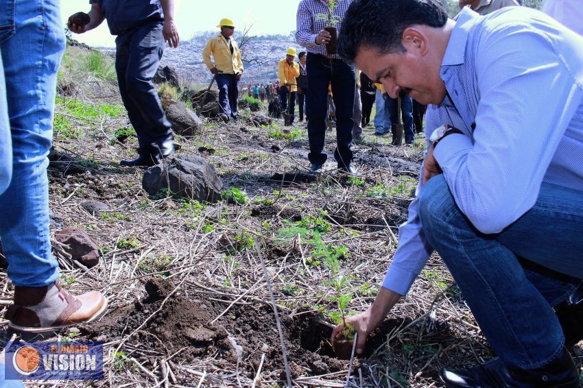 Relleno sanitarios de Michoacán contarán con cercos vivos