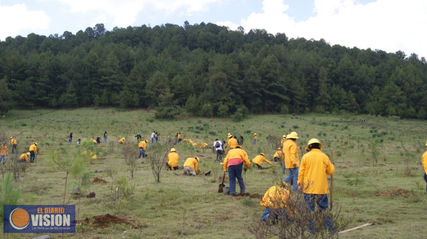  En marcha, Programa Integral de Reforestación en Nahuatzen 