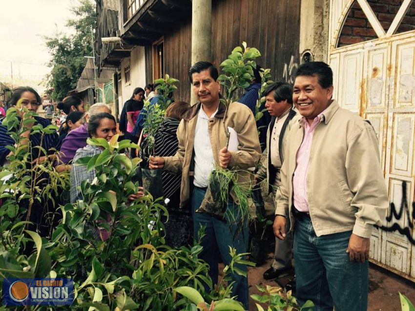 SPI promueve los huertos de traspatio en las Comunidades Indígenas