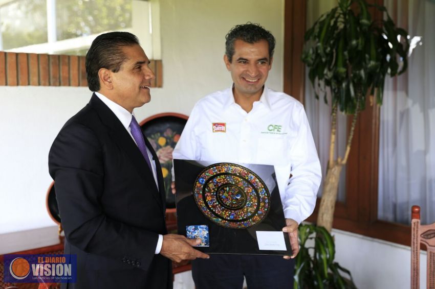   Busca Gobernador ampliar electrificación en Michoacán