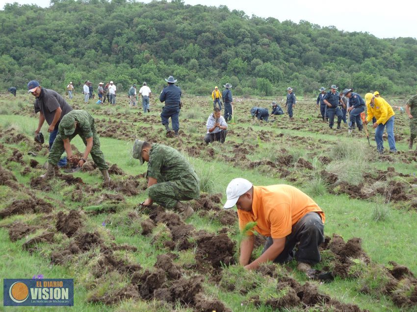 Lista, la Campaña Estatal de Reforestación 2016