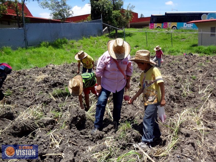 Instalaron huertos escolares dentro de la Casa Hogar “Vivan los Niños”