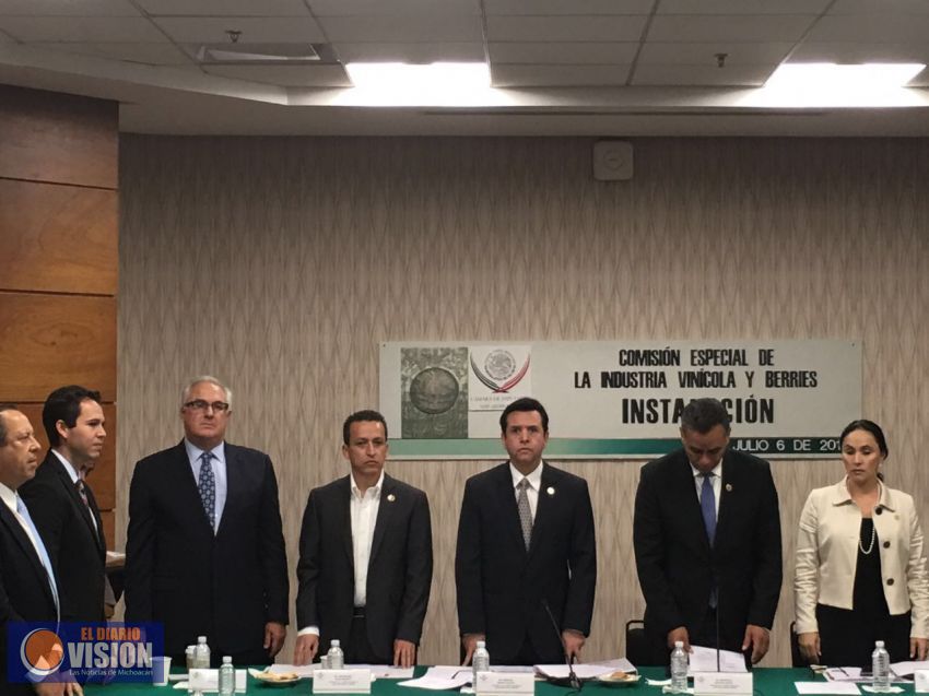 Berries michoacanas serán apoyadas desde la Cámara de diputados