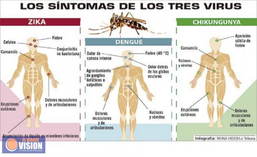 Michoacán reporta 8 casos de chikungunya, 9 zika y 320 dengue 