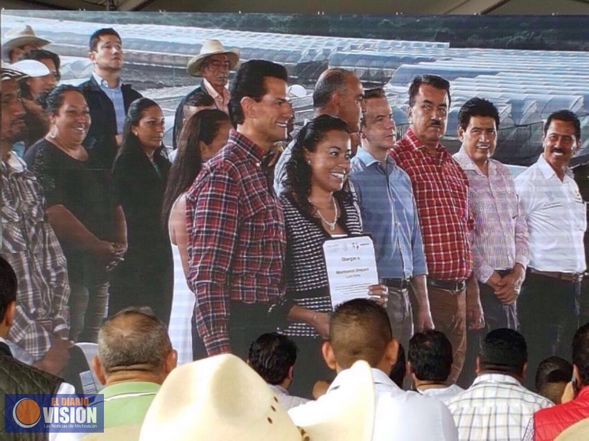 El gobierno federal reconoce excelencia en desempeño de egresada nicolaita