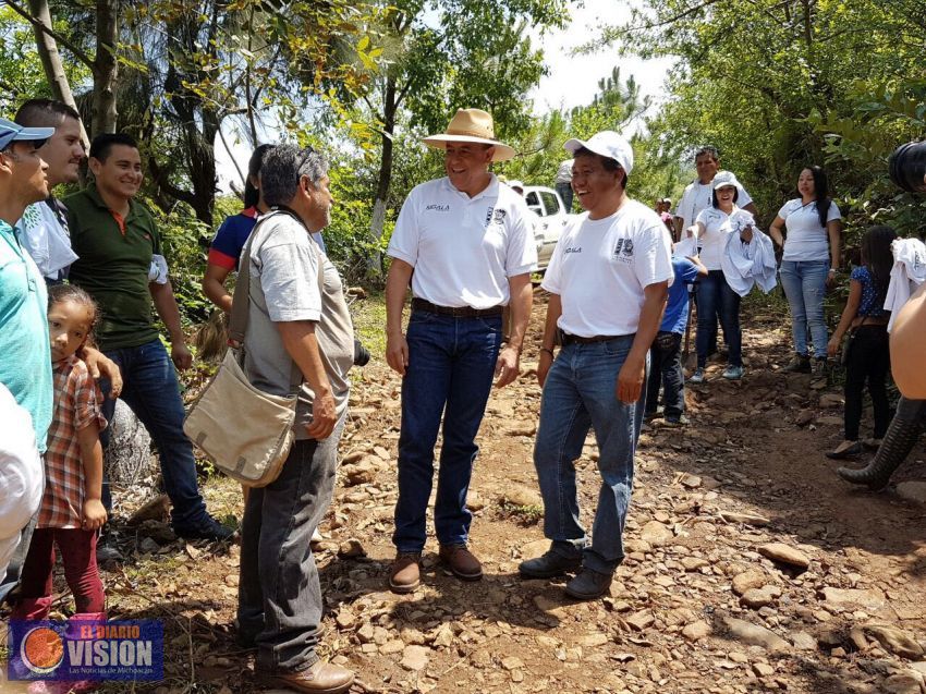 Realizan jornada de reforestación 
