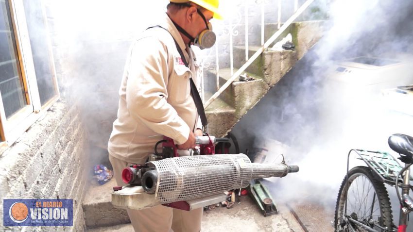 Michoacán ocupa los lugares sexto y noveno a nivel nacional en casos de zika y chikungunya 