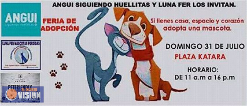 Fin de semana de adopción de mascotas