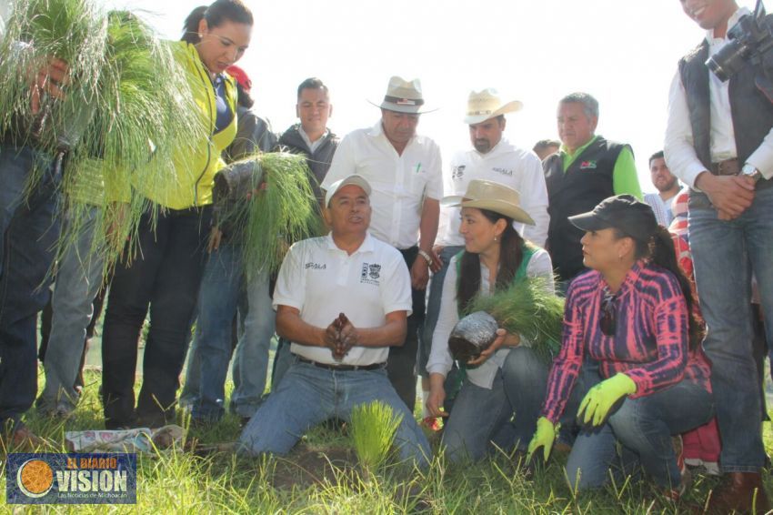 Acuden cientos a reforestar con Sigala, en la presa La Luz en Jacona