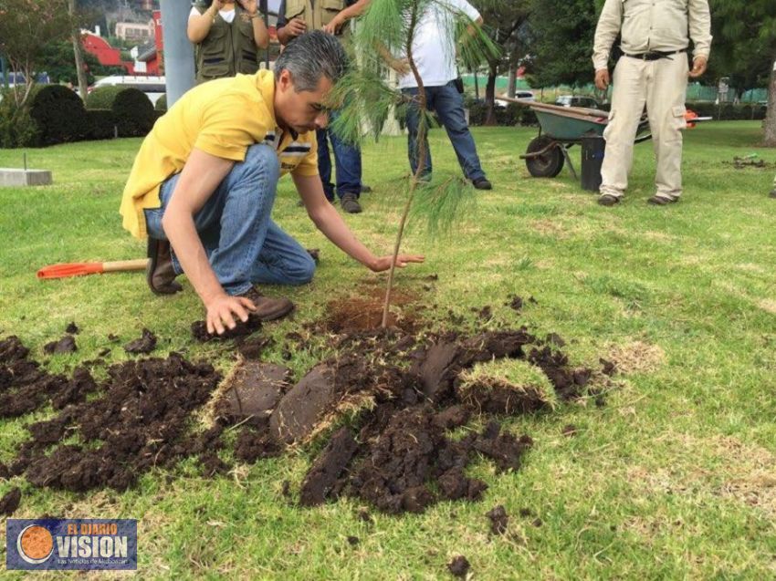 Reforestan las áreas verdes del Centro de Convenciones