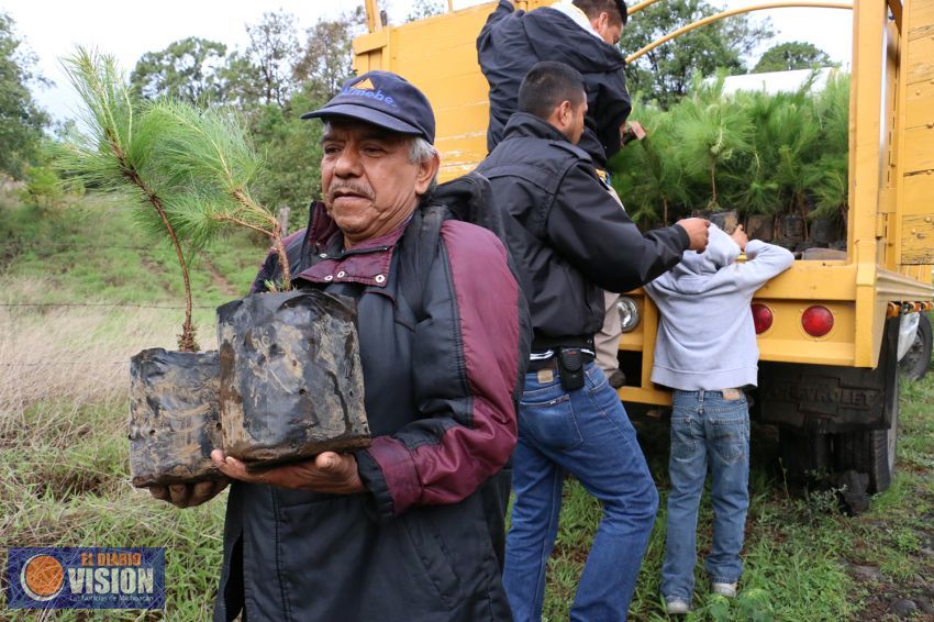 Ayuntamiento de Uruapan invita a reforestar en el Cerro de la Cruz