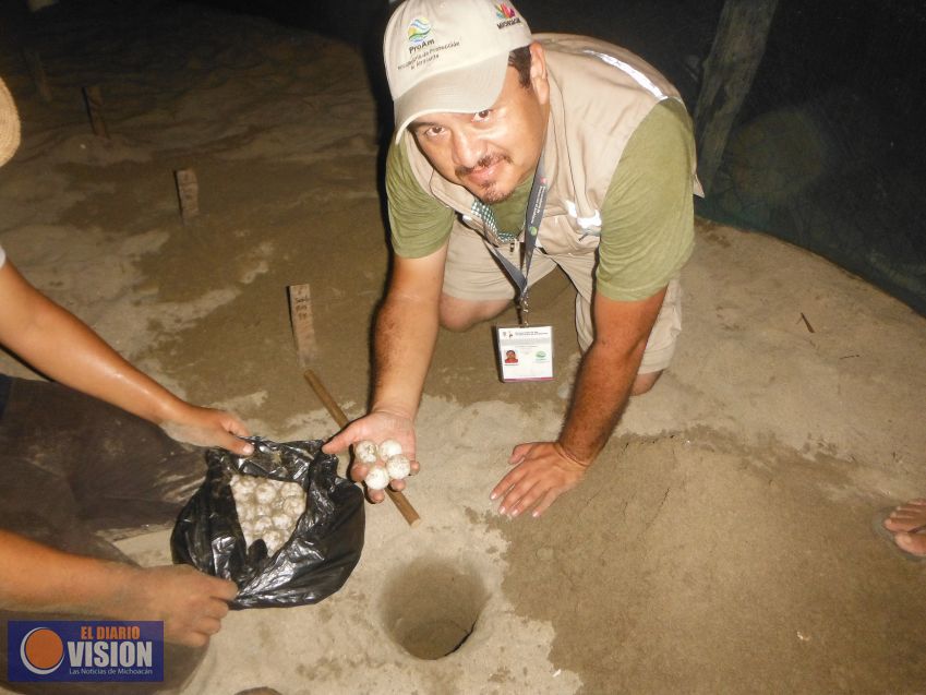 Supervisa ProAm campamento tortuguero en LC
