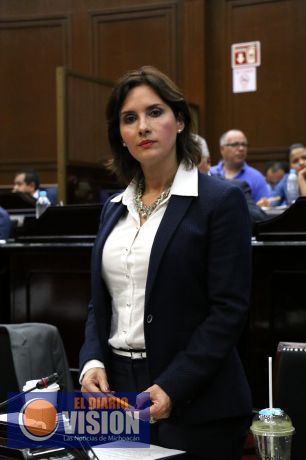 Ley de Manifestaciones del PAN es Constitucional: Macarena Chávez