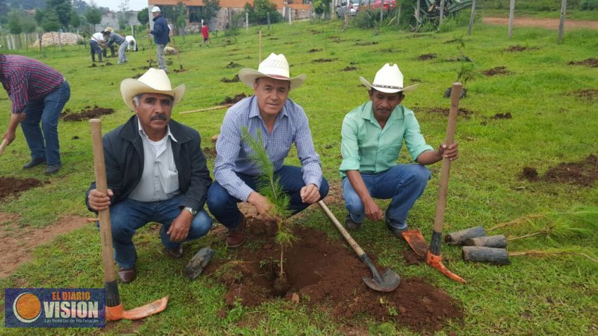 Convoca Sigala a octava jornada Un árbol por la Vida, ahora en Cuanajo