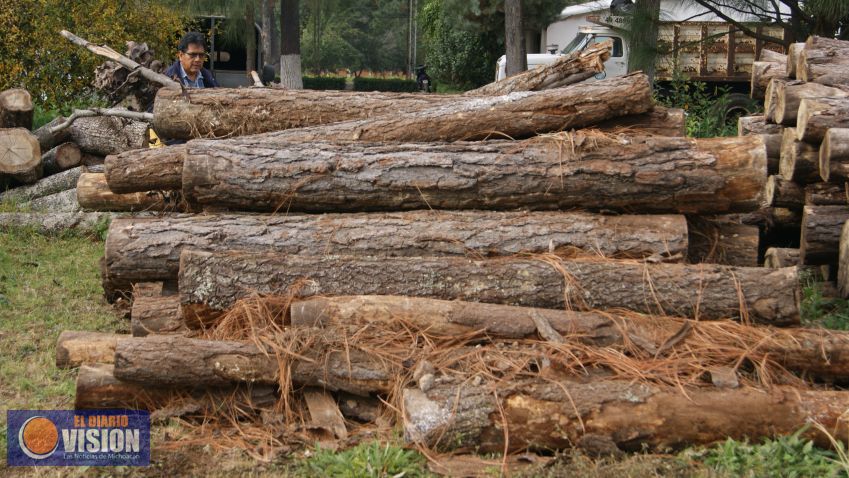 Realizan autoridades Operativo Forestal en Tingambato