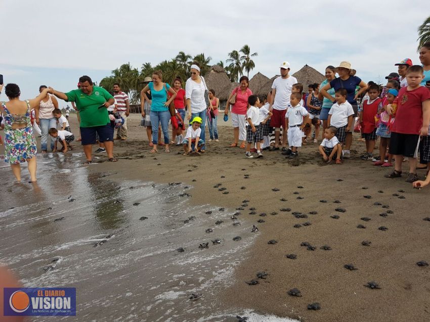 Realizan la primer liberación pública de tortugas en Coahuayana