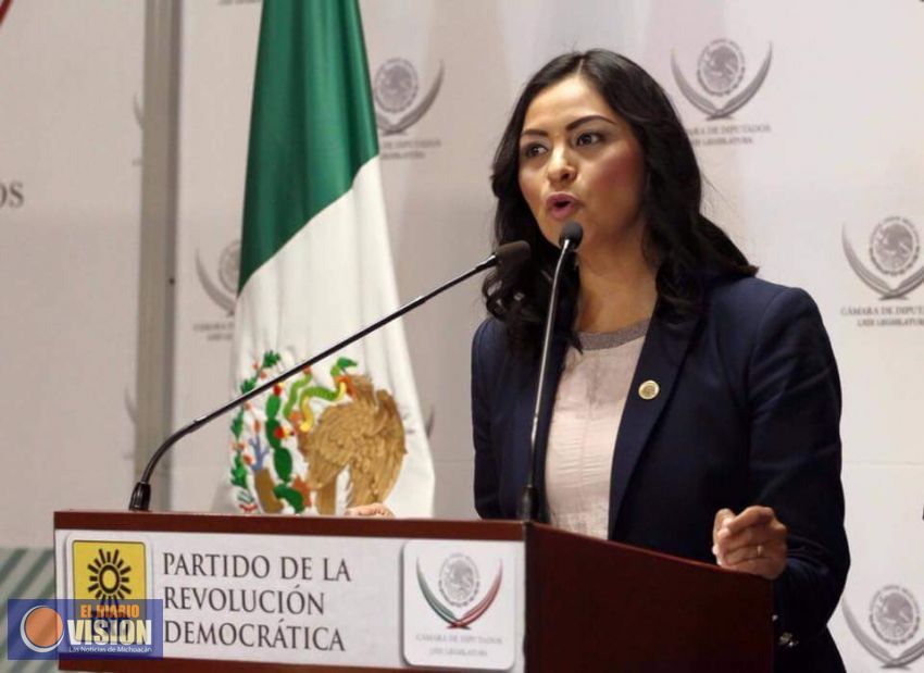 Invertir en mayor gasto publico, evitar recorte al presupuesto: Araceli Saucedo