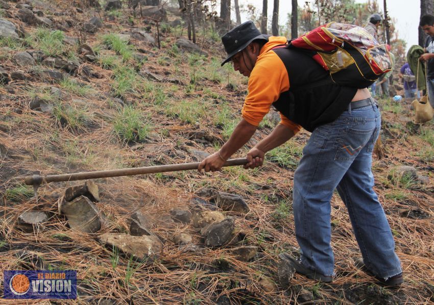 Concluye primera etapa de obras de retención de suelos en el cerro de La Cruz
