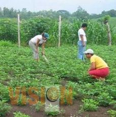 Proyectan al sector agrícola desde Congresos Estatales y Regionales