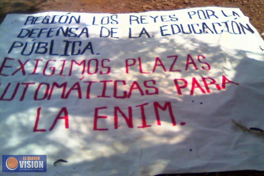  Sigue el vandalismo en la Sierra Purhepecha