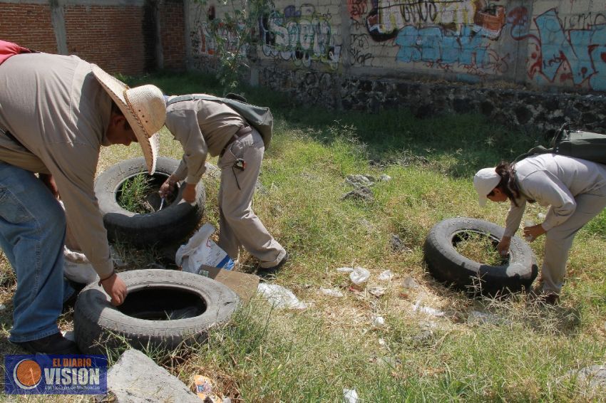 SSM mantiene acciones preventivas contra dengue, chikungunya y zika