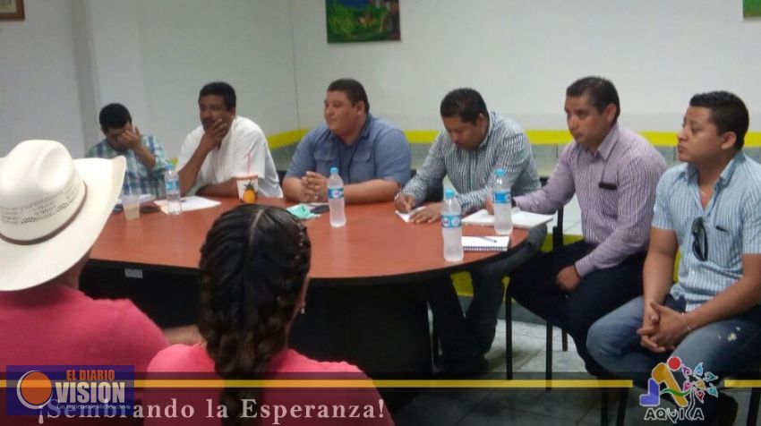 Ayuntamiento de Aquila, analiza caída de objeto no identificado en costa michoacana