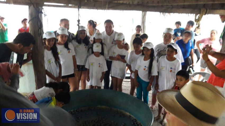 Cientos de tortugas fueron liberadas por niños de Tingüindín en Lázaro Cárdenas