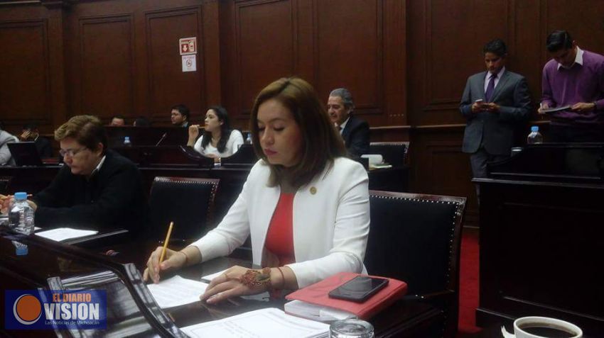 Se pronuncia diputada Yarabí Ávila revisar situación de la SSM  